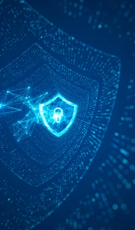 Vulnerability Management - Cybersecurity Staff Augmentation